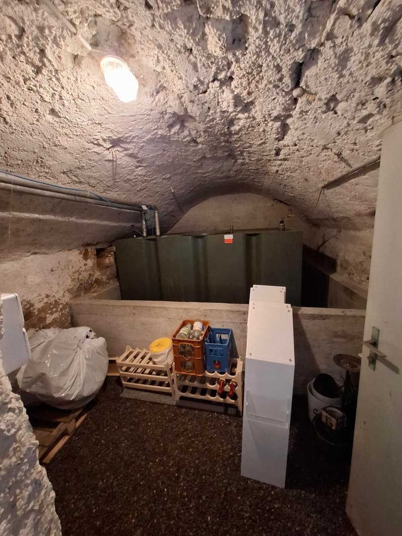 Spacious 3.5-room old building apartment with garden (15)