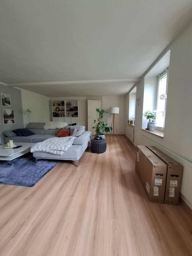 Spacious 3.5-room old building apartment with garden (2)