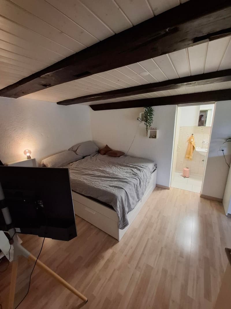 Spacious 3.5-room old building apartment with garden (7)