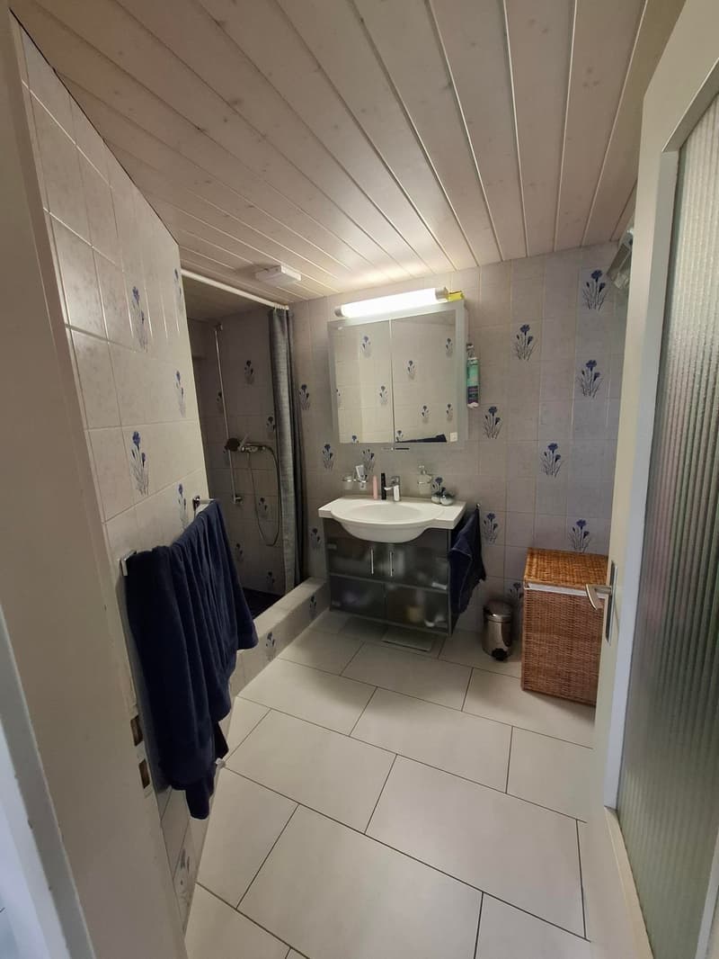 Spacious 3.5-room old building apartment with garden (9)