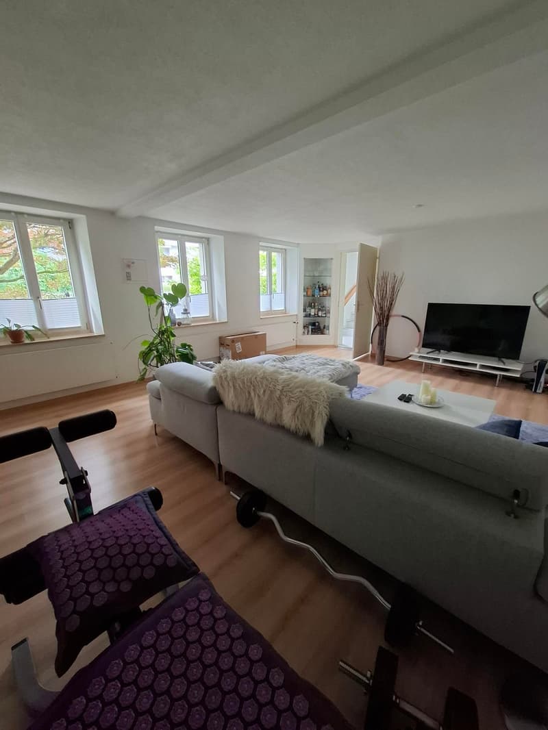 Spacious 3.5-room old building apartment with garden (4)