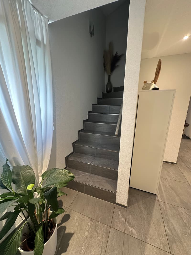 Modern 5.5-room row house in Oberentfelden (7)