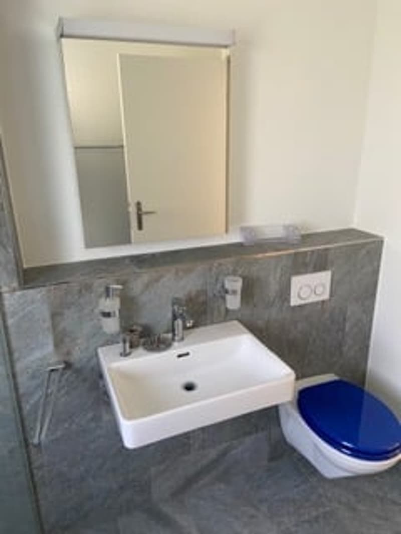 Nachmieter/in für schöne 2.5 Zimmer Erdgeschoss Wohnung gesucht (5)