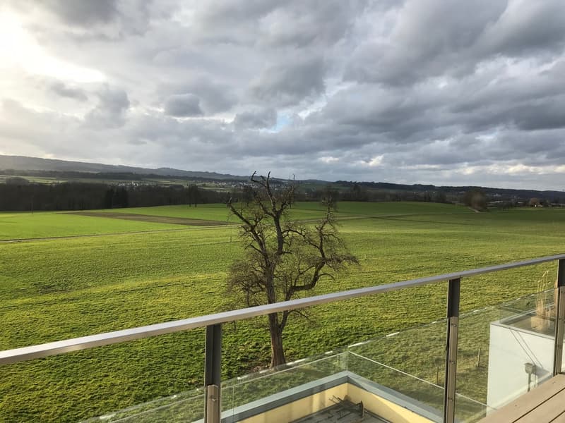 Appartamento con vista sul verde (17)