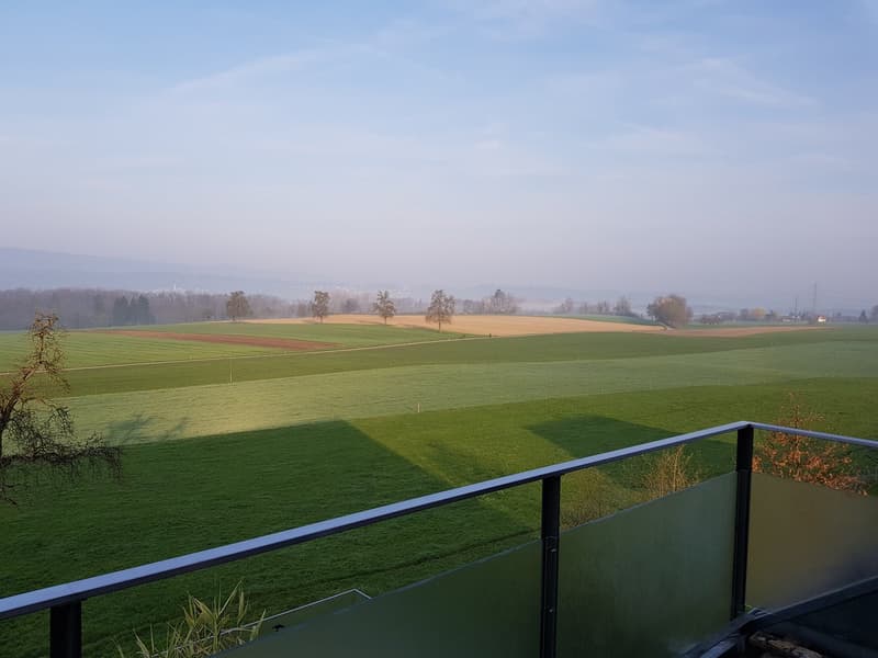 Appartamento con vista sul verde (16)