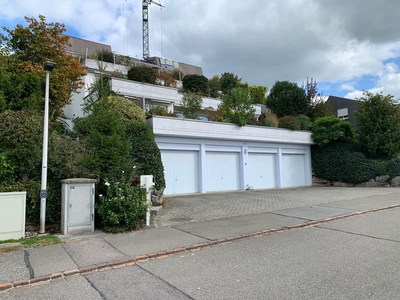 Wir heissen Sie herzlich willkommen-Terrassenwohnung mit unverbaubarer Weitsicht inkl. Doppelgarage (26)