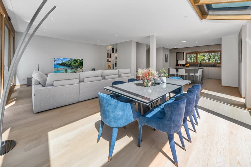 Magnificent new 9.5-room villa in Corsier, with swimming pool. (6)