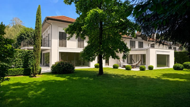 In Mies, a rare house where nature becomes a luxury (1)