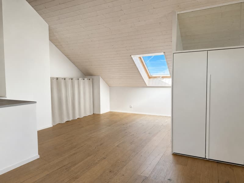 Séjour en double hauteur, 3 chambres de 17 à 18 m² et loft de 51 m² (9)