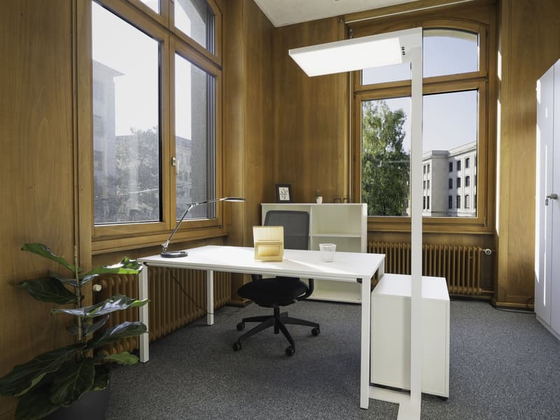 office desk, lamp, plant, shelves, chair, radiator, windows