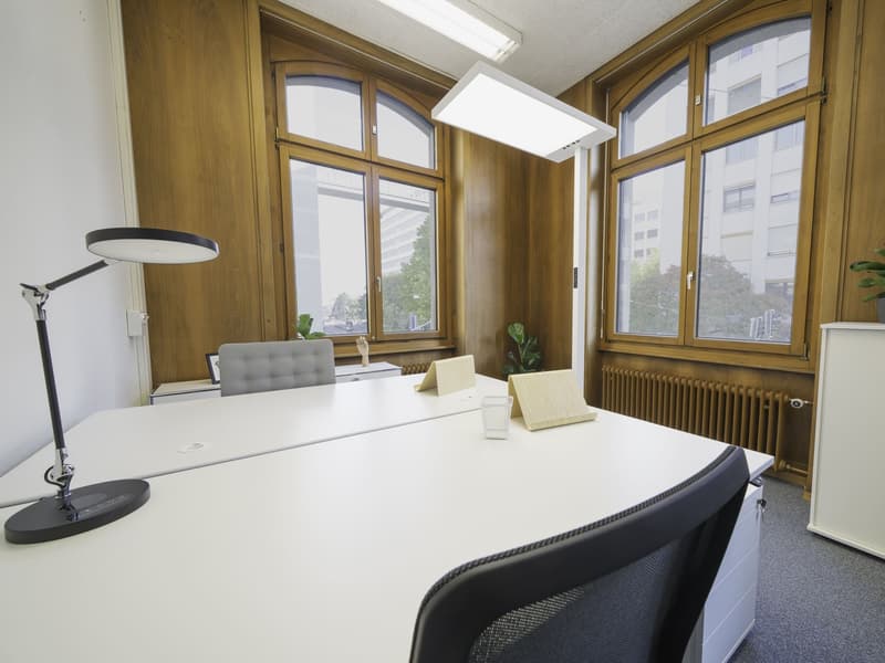 PRIVATE OFFICES (ab 10m2) MIT ALLEM AB CHF 549 - OHNE DEPOT! (12)