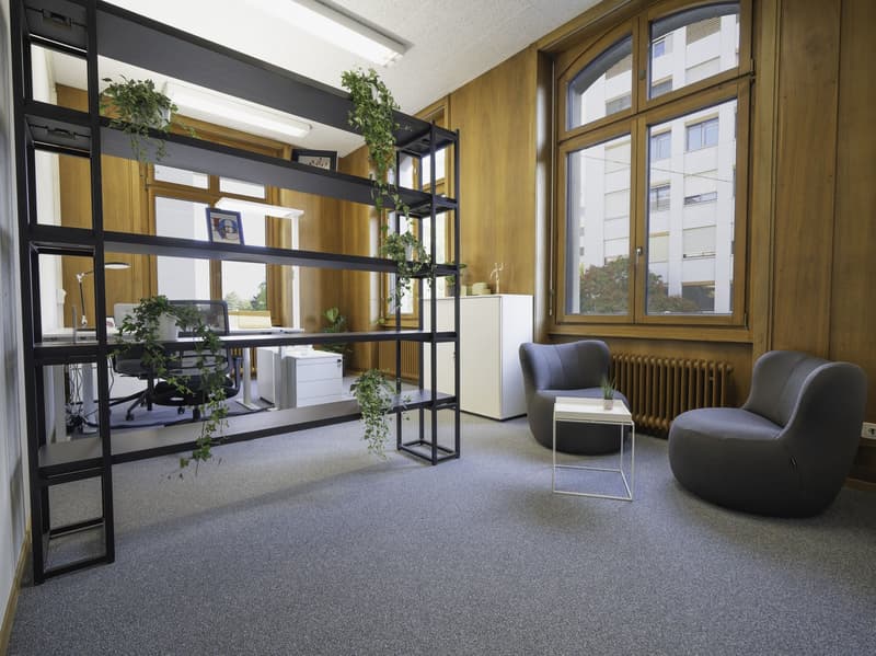 Wooden wall, wooden floor, desk, shelves, office chairs, table, lamps, plants