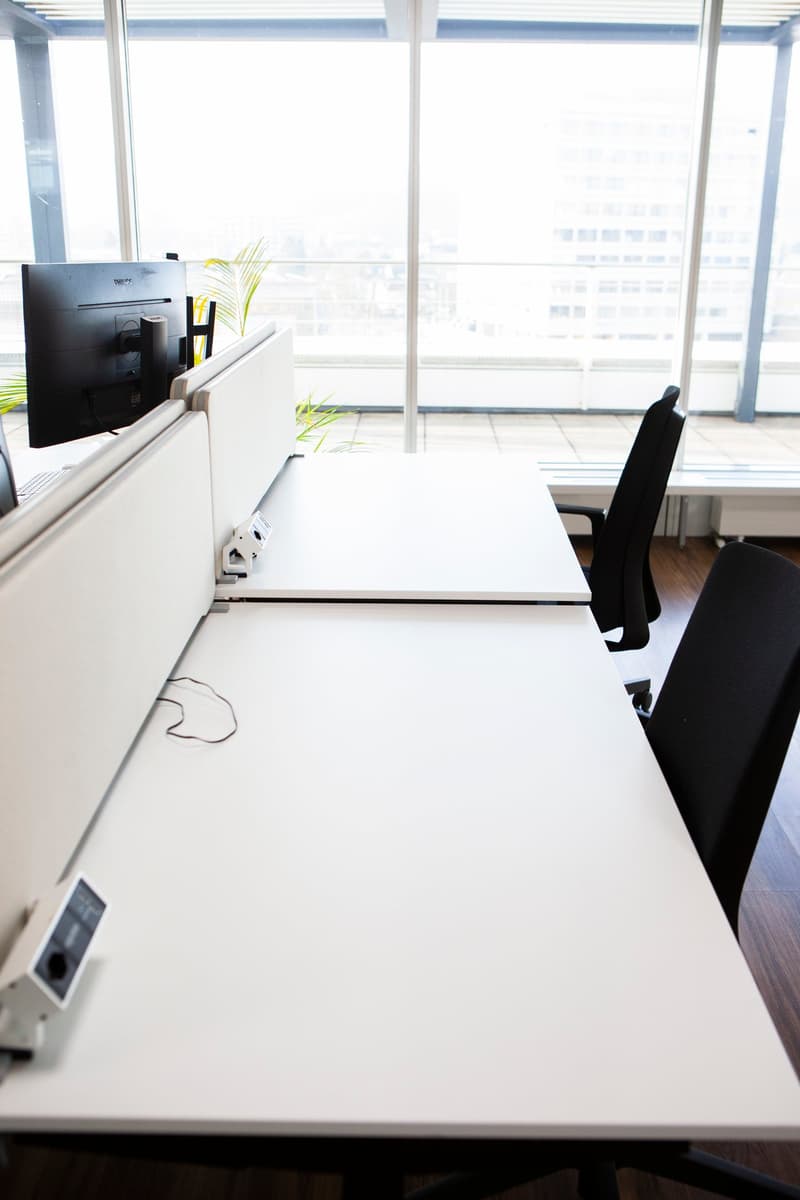 white desk, 2 black chairs, monitors, plant, large window