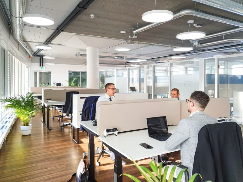 Modern office space with open layout, adjustable desks, large windows, potted plants, ceiling-mounted round lights, three men sitting at their desks with laptops, a black phone, and business attire.