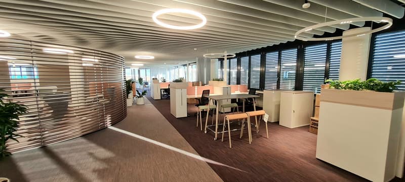 Modern office space - 100 m² in P201 in Aesch BL (9)