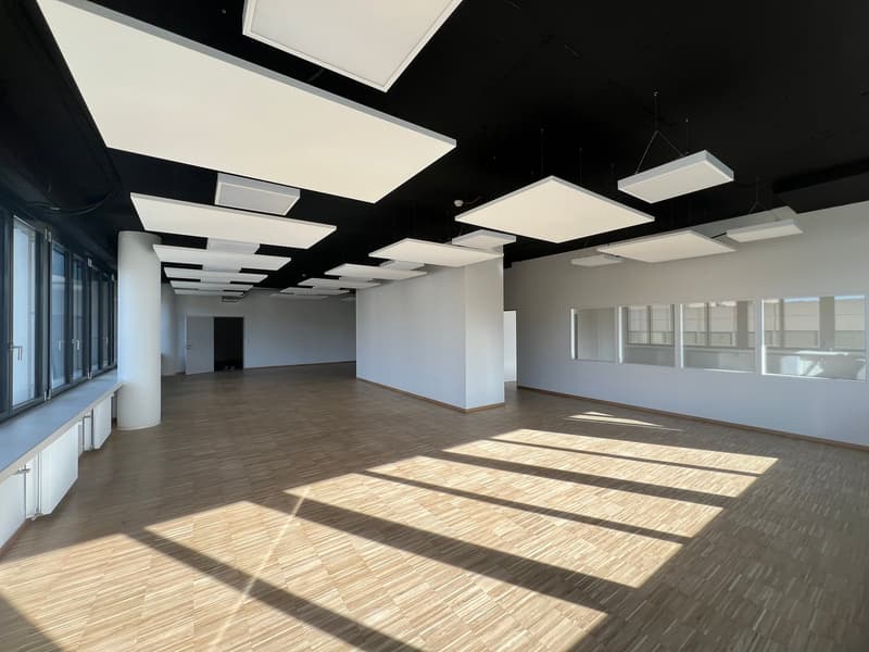 Espaces de bureau et commerciaux modernes - entre 100 m² et 750 m² dans P201 à Aesch BL (11)