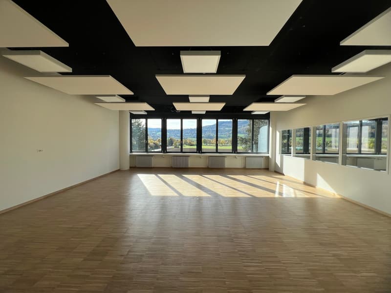 Espaces de bureau et commerciaux modernes - entre 100 m² et 750 m² dans P201 à Aesch BL (12)