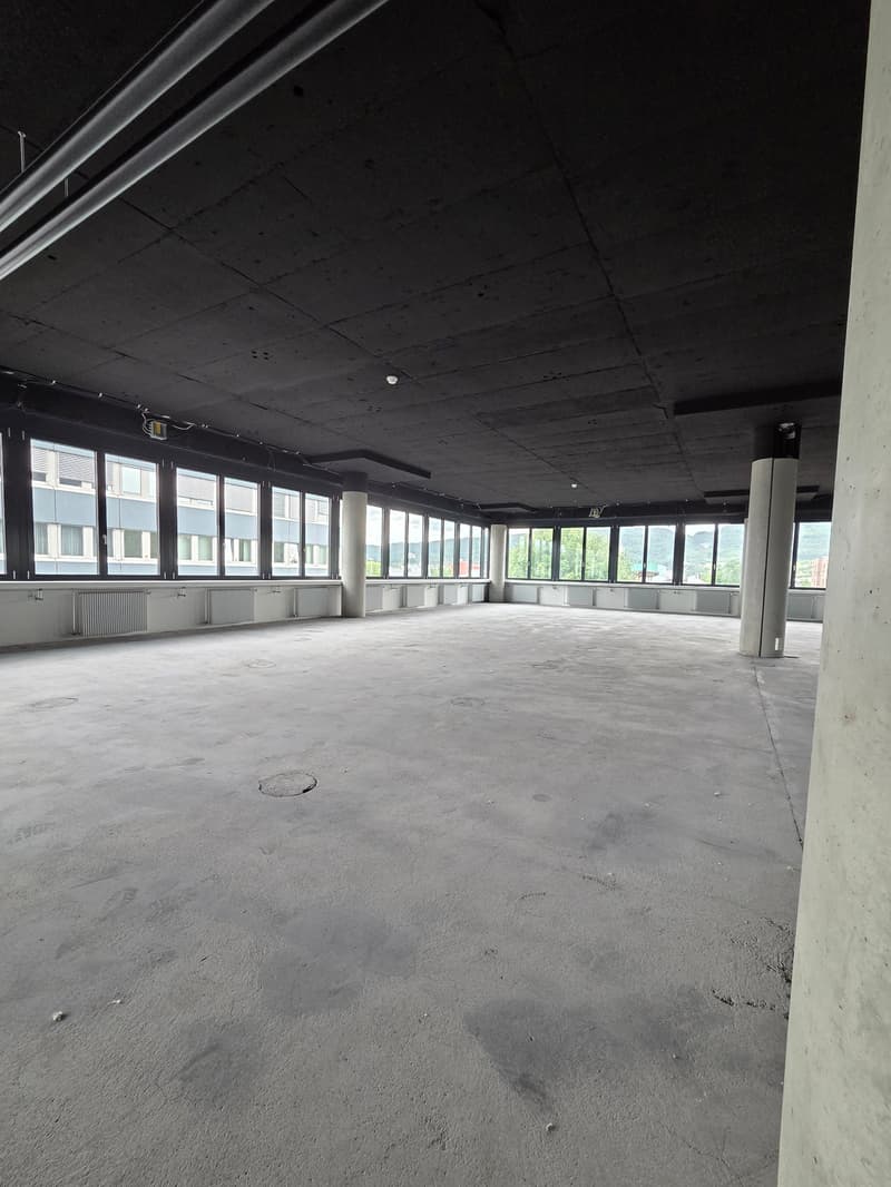 Modern office and commercial space - 500 m² in P201 in Aesch BL (6)