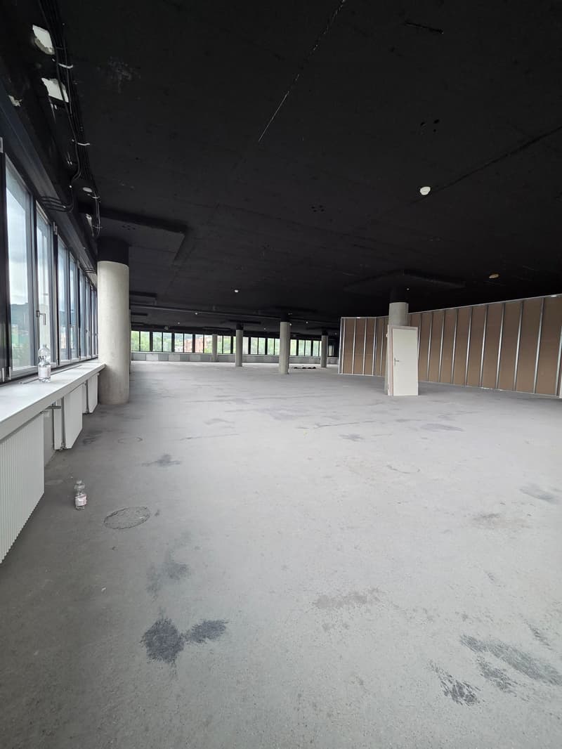 Modern office and commercial space - 500 m² in P201 in Aesch BL (5)