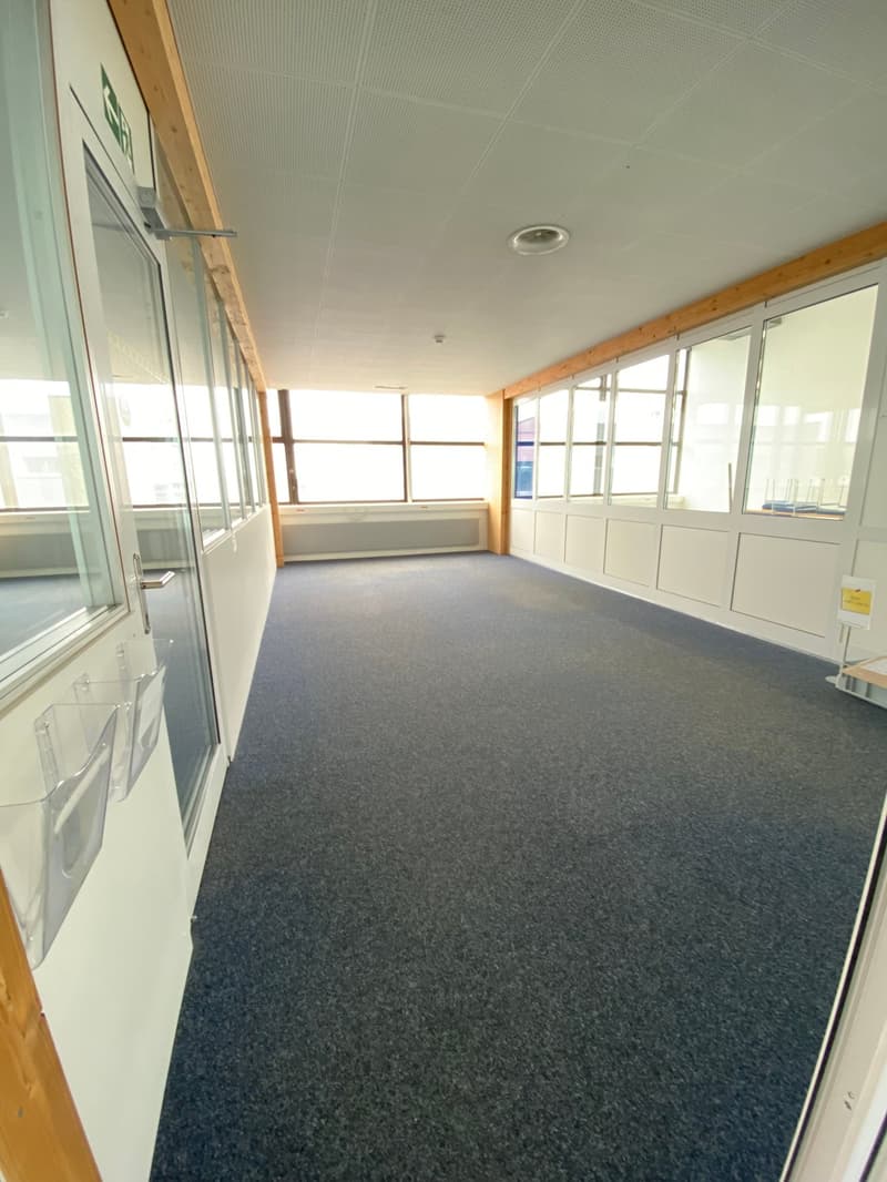 Bright commercial space for logistics, production, and exhibition in P201 in Aesch (7)