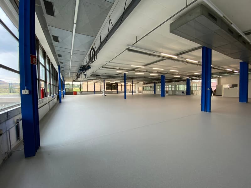 Bright commercial space for logistics, production, and exhibition in P201 in Aesch (2)