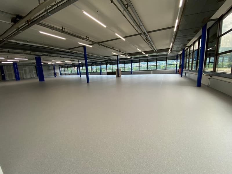 Bright commercial space for logistics, production, and exhibition in P201 in Aesch (4)
