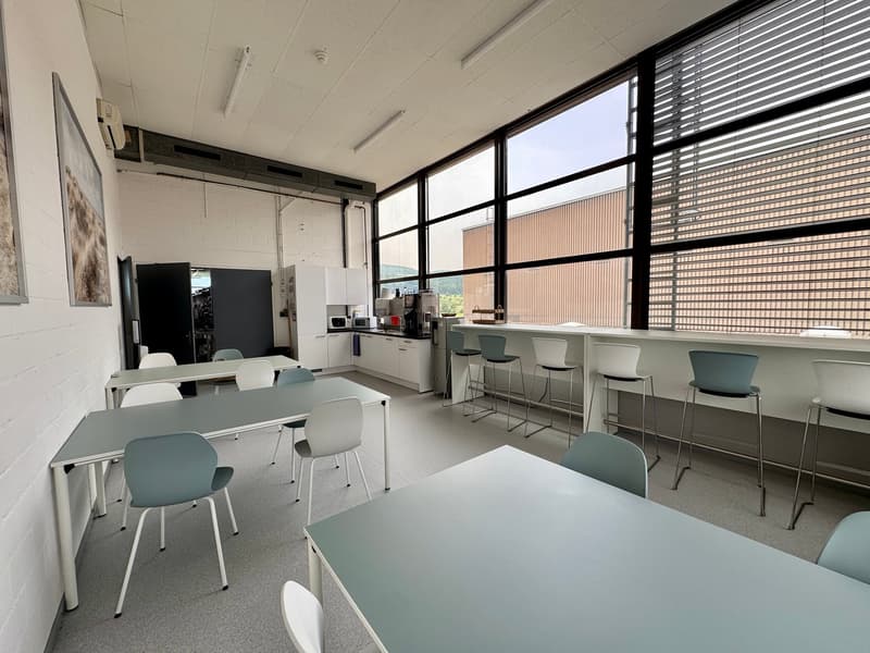Bright commercial space for logistics, production, and exhibition in P201 in Aesch (5)