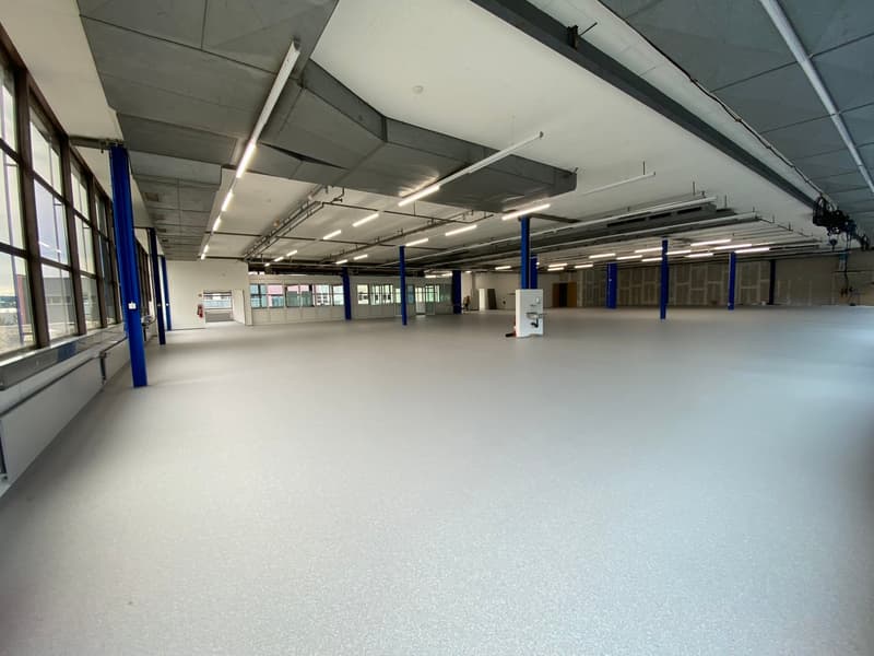 Bright commercial space for logistics, production, and exhibition in P201 in Aesch (3)
