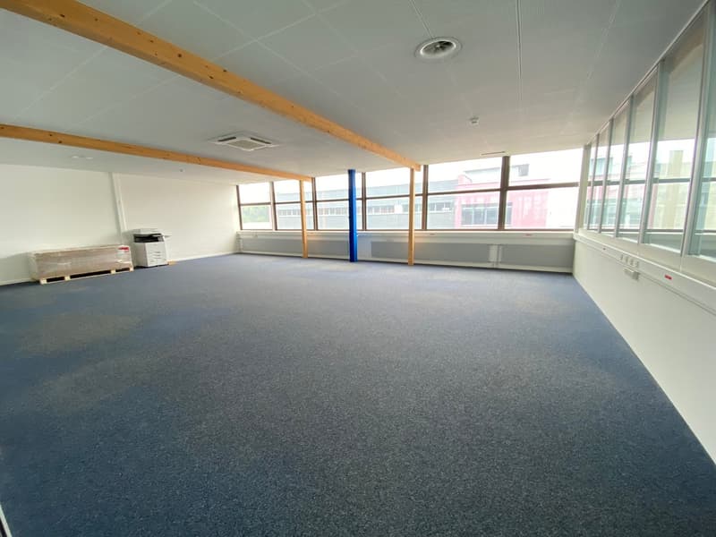 Bright commercial space for logistics, production, and exhibition in P201 in Aesch (6)