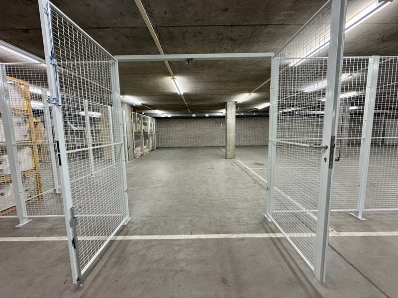 Magazzino in P201 ad Aesch - 350 m² (6)