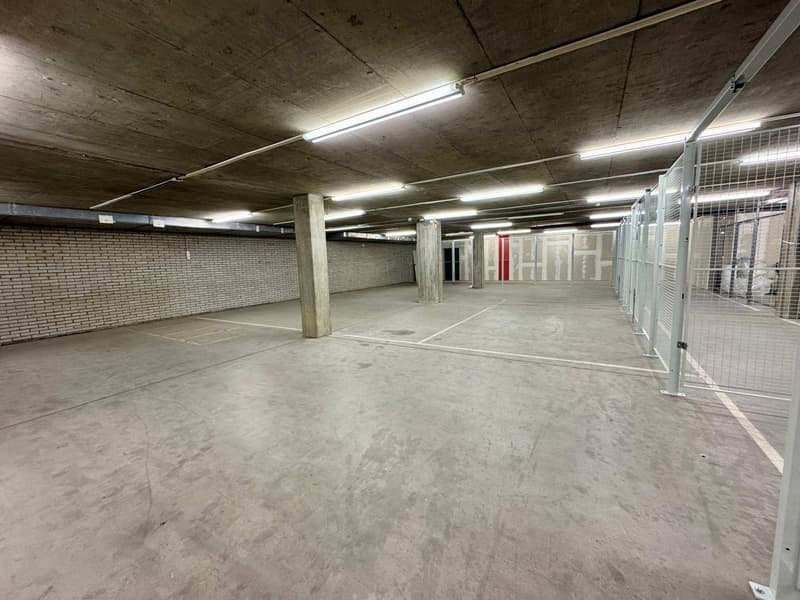 Spazi di stoccaggio flessibili - tra 55 m² e 650 m² nel P201 ad Aesch (7)