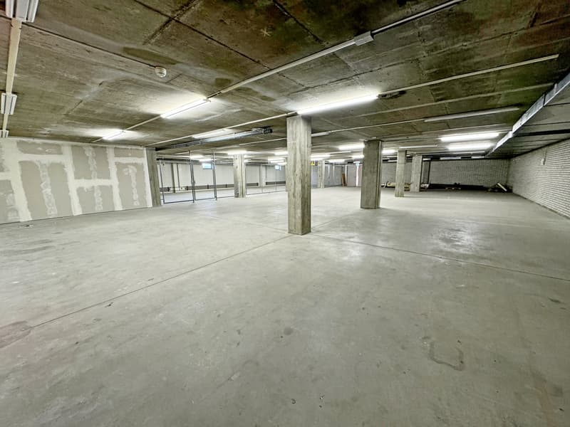 Magazzino in P201 ad Aesch - 100 m² (8)