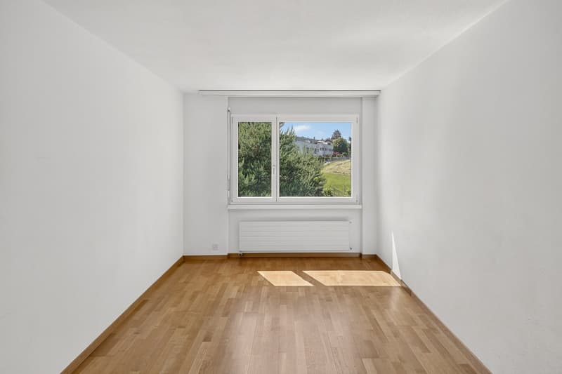 Un diamante grezzo con una vista da sogno (5)