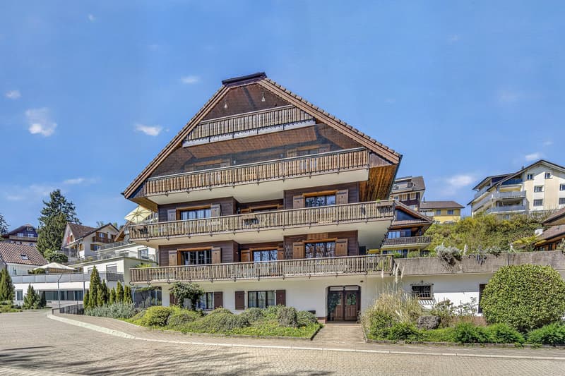 Geräumige 5.5-Zimmerwohnung in ruhiger Lage in Meierskappel (1)