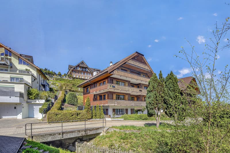 Stylish living in a chalet ambiance (6)