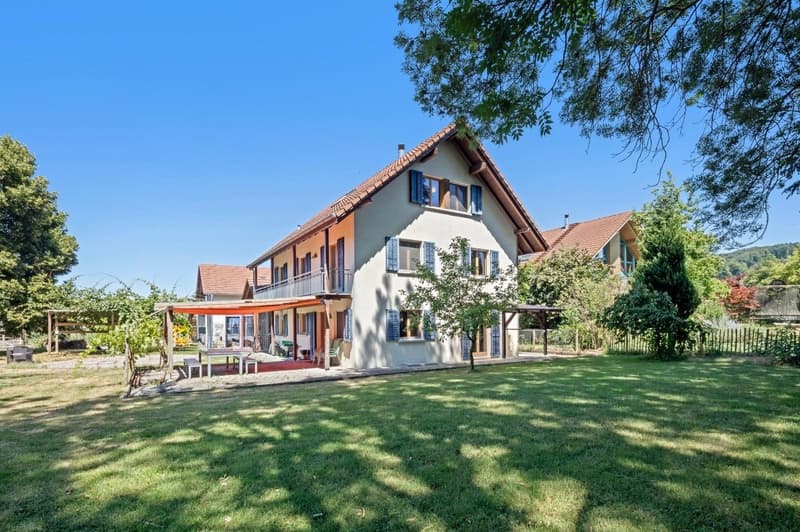 Ihr neues Zuhause – Grosszügig, stilvoll und sonnig (1)