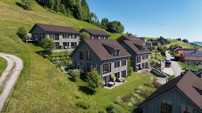 Multiple two-story wooden houses with brown roofs, surrounded by green hills and trees. The houses have balconies and are situated in a scenic, rural landscape.