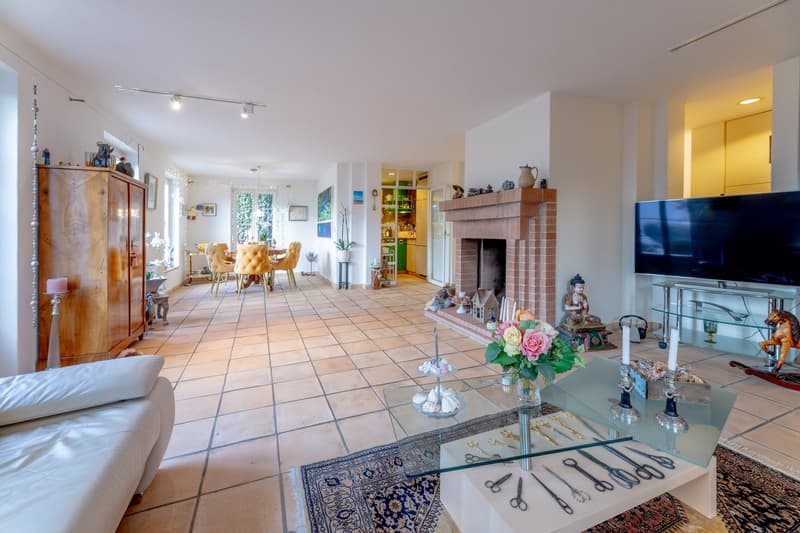 Fireplace, large windows, dining table, chairs, TV, couch, rug, wooden cabinet, flower vase, decorative items
