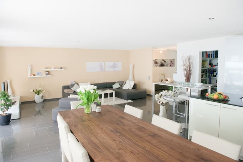 Hochwertiges Wohnerlebnis in Ehrendingen: Grosszügige 3.5-Zimmer-Wohnung mit Top-Ausstattung (15)