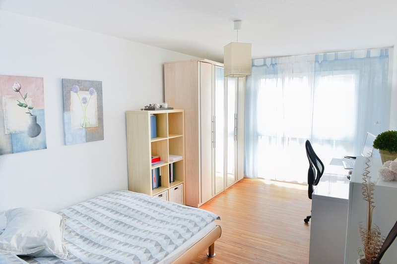 Hochwertiges Wohnerlebnis in Ehrendingen: Grosszügige 3.5-Zimmer-Wohnung mit Top-Ausstattung (9)