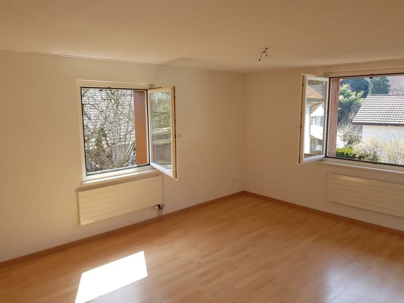 Charming single-family house in a quiet location in Berikon (5)