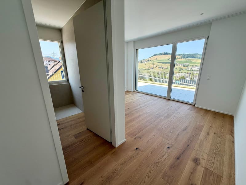 Exclusive Attic Jewel: Panoramic View of Lake Zug in its Most Beautiful Form (10)