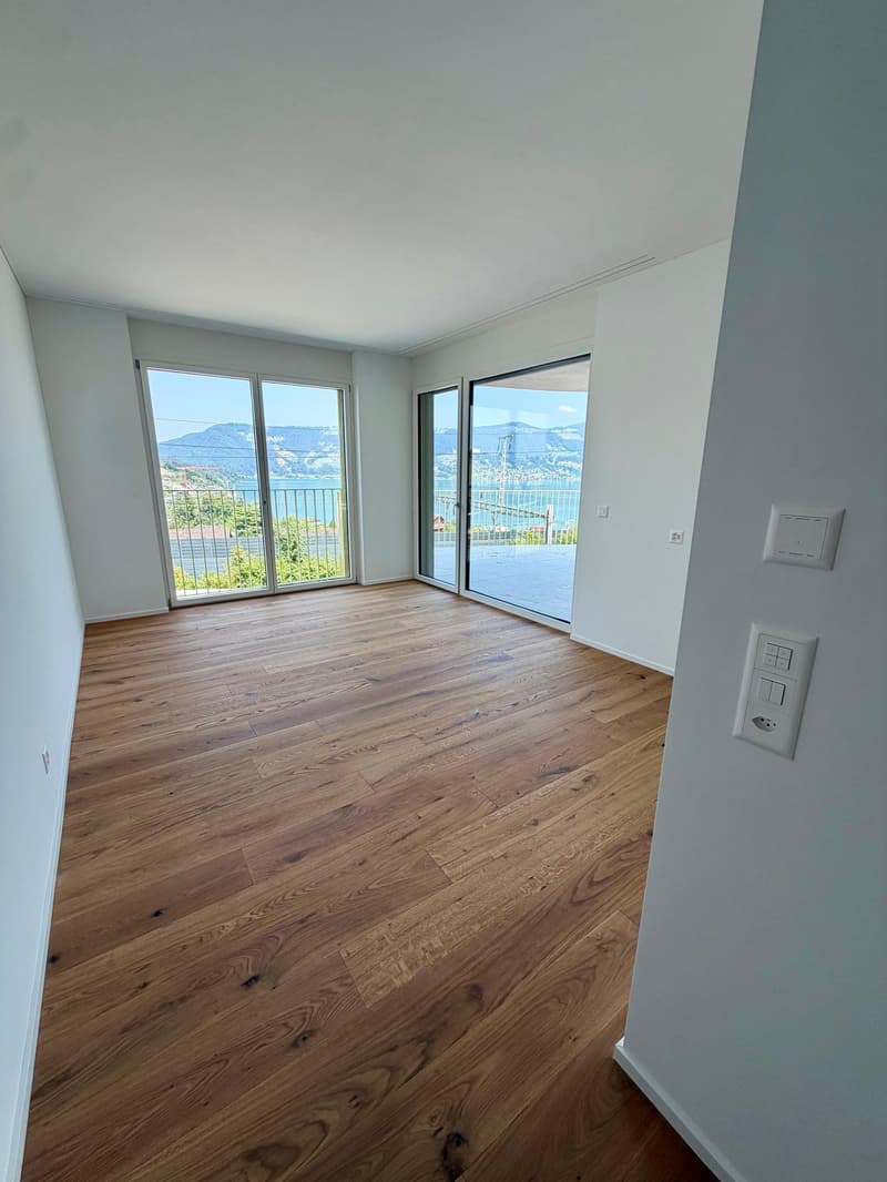 Exclusive Attic Jewel: Panoramic View of Lake Zug in its Most Beautiful Form (9)