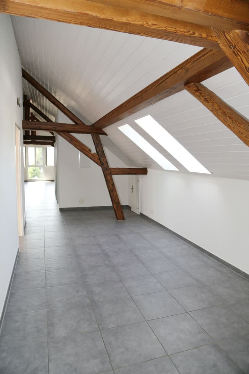 Grand appartement charmant au dernier étage avec balcon et vue (5)