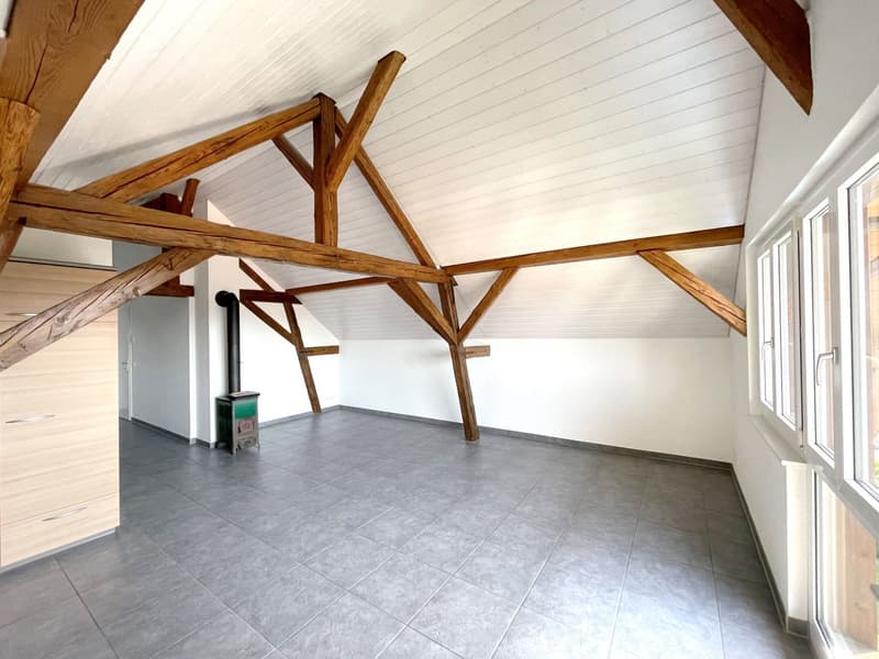 Grand appartement charmant au dernier étage avec balcon et vue (4)