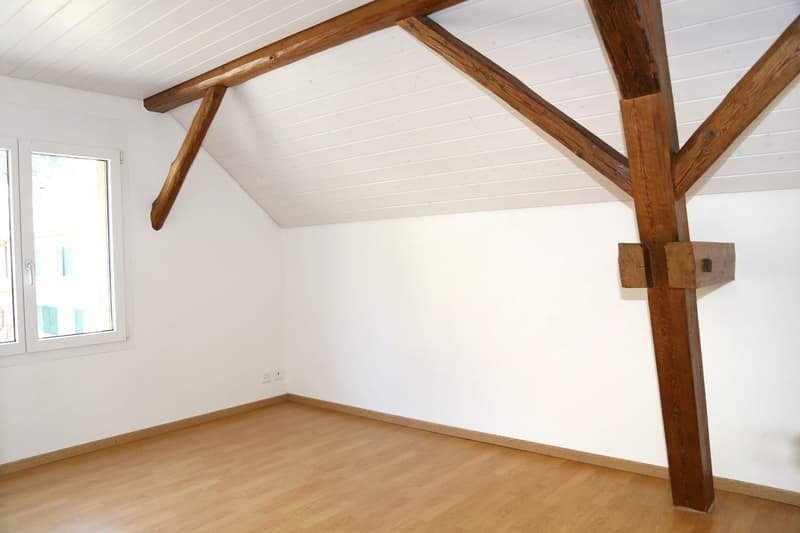 Grand appartement charmant au dernier étage avec balcon et vue (6)