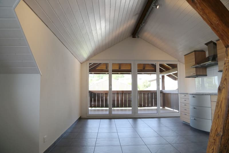 Grand appartement charmant au dernier étage avec balcon et vue (2)