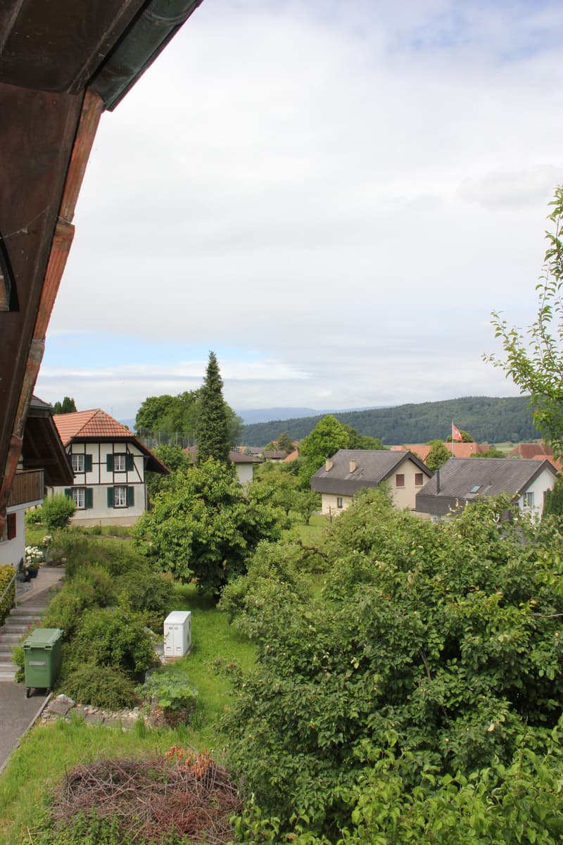 Where charm is at home – Spycher flair with idyllic garden (10)