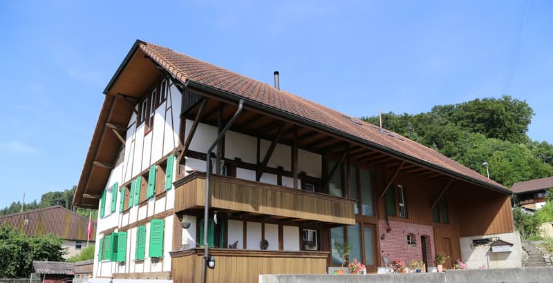 Lebensqualität auf grossem Raum, mit 2 Balkonen und Aussicht (8)