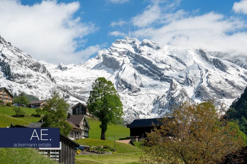 Alpine Eleganz - Zwischen Tradition und Moderne (4)